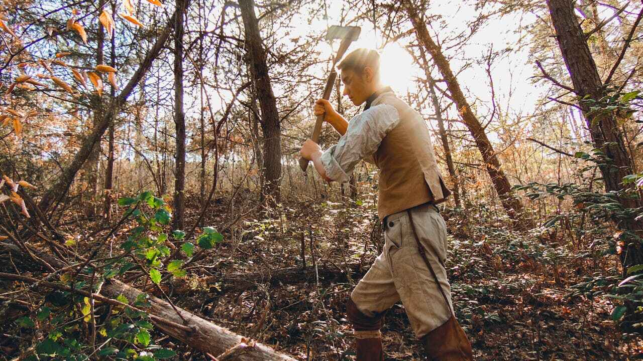 Dead Tree Removal